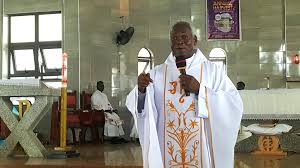 Spiritan Service